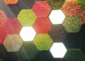 Nature Moss 3d Acoustic Wall Panels For Walls Green Plant Decoration Mildew Proof