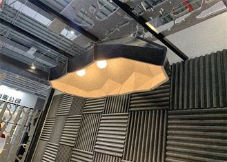 Unique Type Acoustic Pendant Light Special Pet Felt Lampshade For Home
