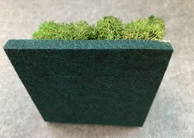 Green Plant Decorative Acoustic Panels Soundproofing Light Weight Easy To Dust